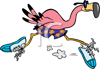 Bird Clip Art Image