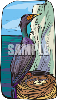 Bird Clip Art Image