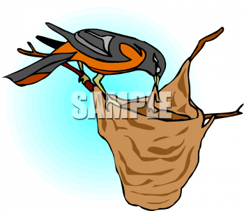 Bird Clip Art Image