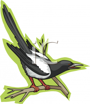 Bird Clip Art Image