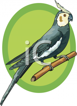 Bird Clip Art Image