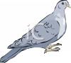 Bird Clip Art Image