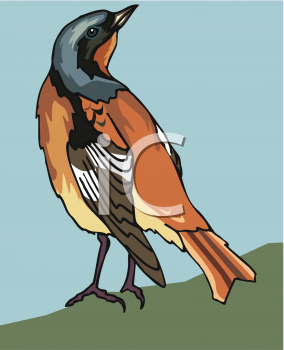 Bird Clip Art Image