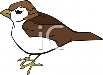 Bird Clip Art Image