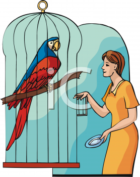 Bird Clip Art Image