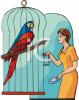 Bird Clip Art Image