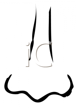 Nose Clip Art Image