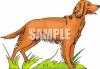 Dog Clip Art Image