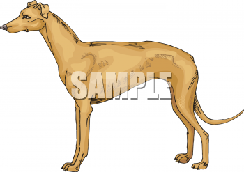 Dog Clip Art Image
