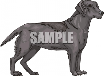 Dog Clip Art Image
