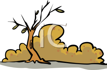 autumn_095_01_tnb.png 30.0K