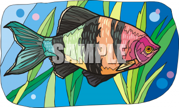 Fish Clip Art Image