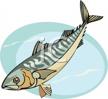 Fish Clip Art Image