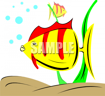 Fish Clip Art Image