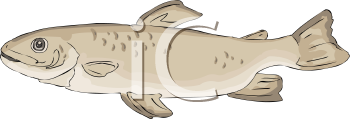 Fish Clip Art Image