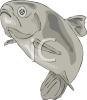 Fish Clip Art Image
