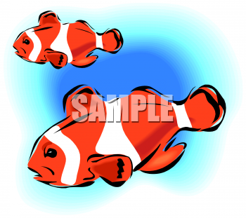 Fish Clip Art Image