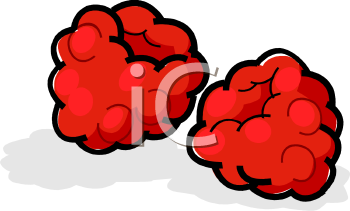 berry_fruits_192419_tnb.png 33.2K