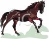 Horse Clip Art Image