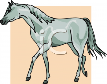 Horse Clip Art Image