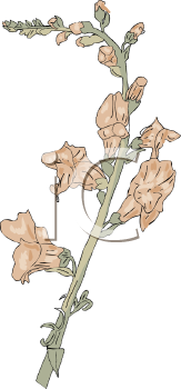 Flower Clip Art Image