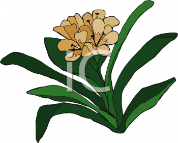Flower Clip Art Image