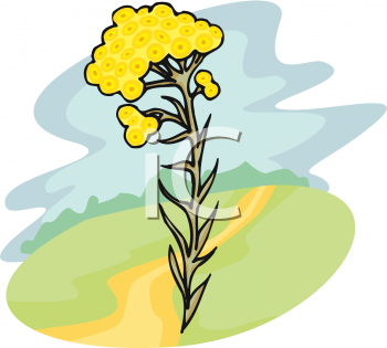 Flower Clip Art Image