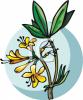 Flower Clip Art Image