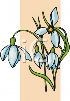Flower Clip Art Image