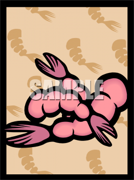 shrimp_seafood_106756_tnb.png 67.3K