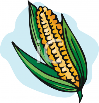 corn2_000392_tnb.png 104.9K